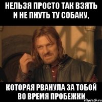 нельзя просто так взять и не пнуть ту собаку, которая рванула за тобой во время пробежки