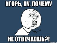 Игорь, ну, почему не отвечаешь?!