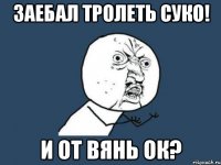 ЗАЕБАЛ ТРОЛЕТЬ СУКО! И ОТ ВЯНЬ ОК?