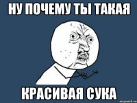 ну почему ты такая красивая Сука