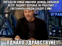 ПОГОДА НА УЛИЦЕ УЖАСНАЯ, ДОЖДЬ,СИЛЬНЫЙ ВЕТЕР, ПАДАЮТ ДЕРЕВЬЯ, НЕ РАБОТАЮТ СВЕТОФОРЫ, ЛЮДИ СХОДЯТ С УМА ОДНАКО ЗДРАВСТВУЙЕ