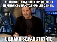 В РОСТОВЕ СИЛЬНЫЙ ВЕТЕР, ВАЛЯТСЯ ДЕРЕВЬЯ,СРЫВАЮТСЯ КРЫШИ ДОМОВ.. ОДНАКО ЗДРАВСТВУЙТЕ