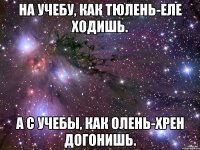 На учебу, как тюлень-еле ходишь. А с учебы, как олень-хрен догонишь.