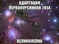 Адаптация первокурсников 2014 великолепна