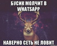 Бусик молчит в whatsapp наверно сеть не ловит