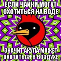 если чайки могут охотиться на воде значит акула может охотиться в воздухе