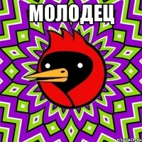 Молодец 