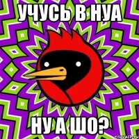 УЧУСЬ В НУА НУ А ШО?