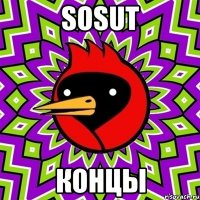 Sosut Концы