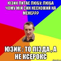 юзик питає любу: люба чому мій син несхожий на мене??? юзик : то пізда , а не ксерокс