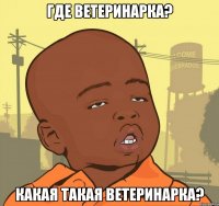 Где ветеринарка? Какая такая ветеринарка?