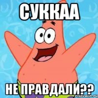 Суккаа Не правдали??