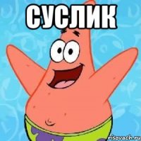 Суслик 