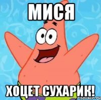 Мися Хоцет сухарик!