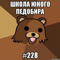 ШКОЛА ЮНОГО ПЕДОБИРА #228