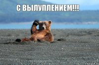 С ВЫЛУПЛЕНИЕМ!!!