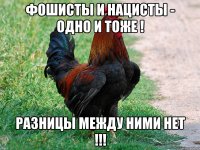 Фошисты и Нацисты - Одно и тоже ! Разницы между ними нет !!!