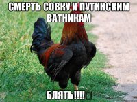 Смерть совку и путинским ВАТНИКАМ БЛЯТЬ!!!!﻿