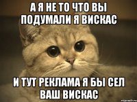 А я не то что вы подумали я вискас И тут реклама я бы сел ваш вискас