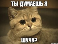 Ты думаешь я Шучу?