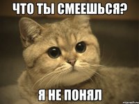 Что ты смеешься? Я не понял