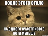 После этого стало На одного счастливого кота меньше