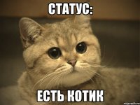 статус: есть котик