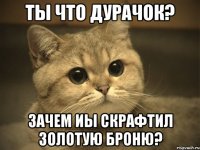 Ты что дурачок? Зачем иы скрафтил золотую броню?