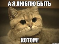 а я люблю быть котом!