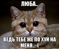 Люба.. ведь тебе же по хуй на меня..:-(