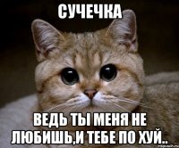 Сучечка ведь ты меня не любишь,и тебе по хуй..