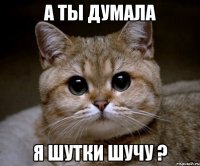 А ты думала Я шутки шучу ?