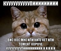 куууууууууупиииииииии вис кос мне или ките кет или tomcat короче куууууууупииииииииии и и и и и