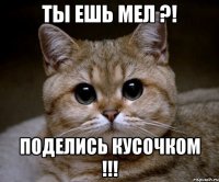 ТЫ ЕШЬ МЕЛ ?! ПОДЕЛИСЬ КУСОЧКОМ !!!