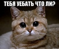 тебя уебать что ли? 