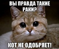 Вы правда такие раки? Кот не одобряет!