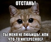 Отстань! Ты меня не любишь!..Или что-то интересное?