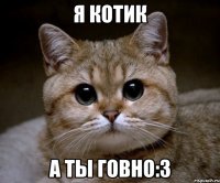 Я котик А ты говно:3