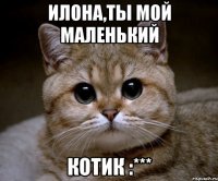 Илона,ты мой маленький КОТИК :***