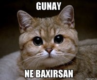 gunay ne baxirsan