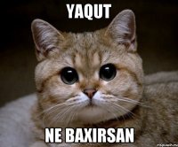 YAQUT NE BAXIRSAN