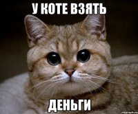 у Коте взять Деньги