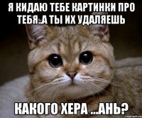 я кидаю тебе картинки про тебя..а ты их удаляешь какого хера ...ань?