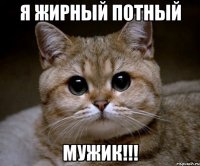 Я ЖИРНЫЙ ПОТНЫЙ МУЖИК!!!