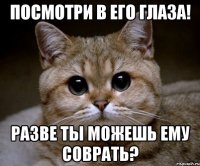 посмотри в его глаза! разве ты можешь ему соврать?