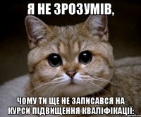 Я не зрозумів, чому ти ще не записався на курси підвищення кваліфікації: