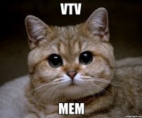 vtv мем