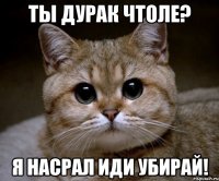 Ты дурак чтоле? Я насрал иди убирай!