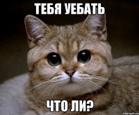 ТЕБЯ УЕБАТЬ ЧТО ЛИ?