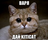 Варя Дай kıtıcat